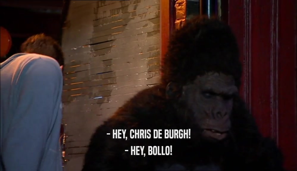 - HEY, CHRIS DE BURGH!
 - HEY, BOLLO!
 