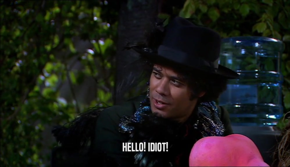 HELLO! IDIOT!  