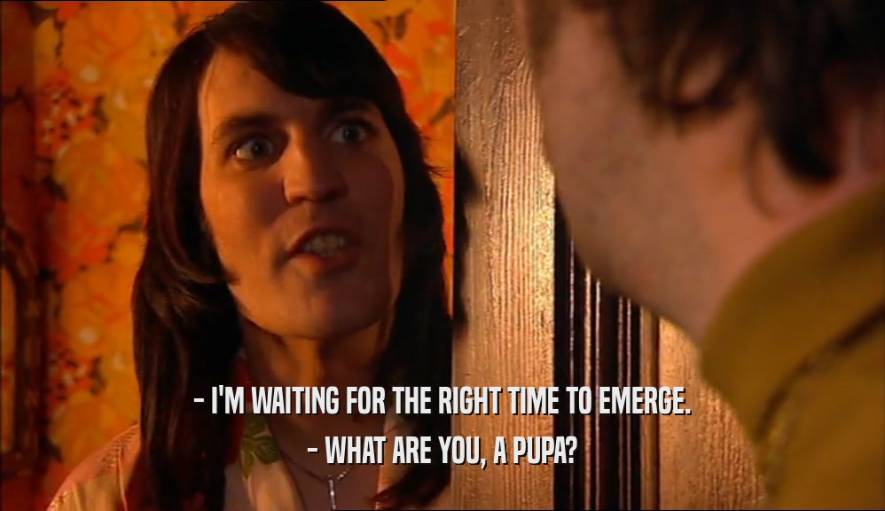 - I'M WAITING FOR THE RIGHT TIME TO EMERGE.
 - WHAT ARE YOU, A PUPA?
 