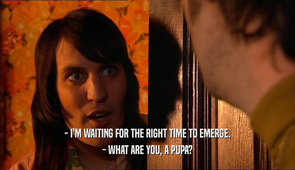 - I'M WAITING FOR THE RIGHT TIME TO EMERGE.
 - WHAT ARE YOU, A PUPA?
 