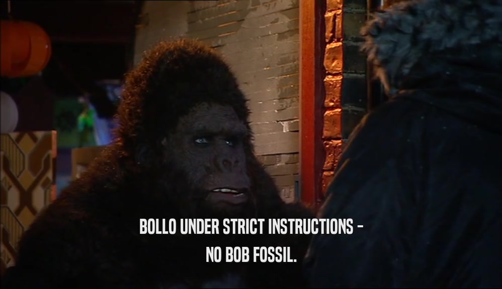 BOLLO UNDER STRICT INSTRUCTIONS - NO BOB FOSSIL. 