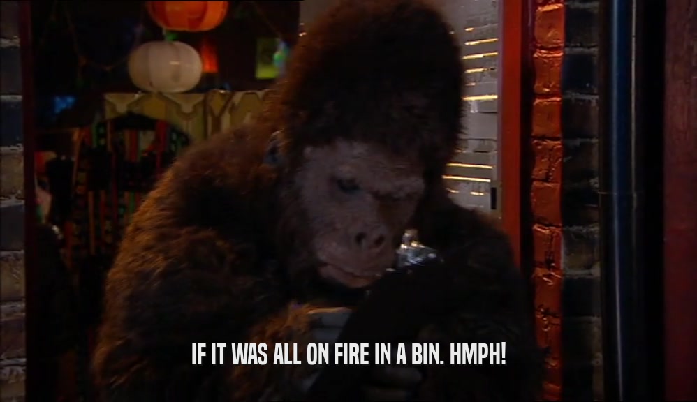 IF IT WAS ALL ON FIRE IN A BIN. HMPH!  