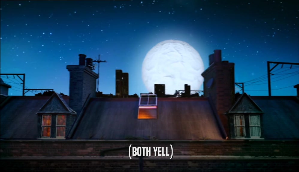 (BOTH YELL)  