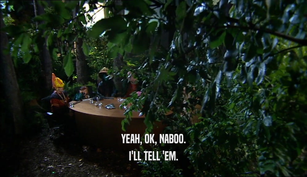 YEAH, OK, NABOO. I'LL TELL 'EM. 