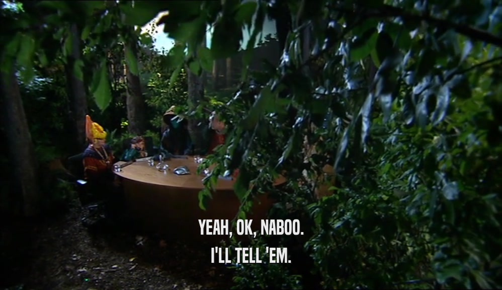 YEAH, OK, NABOO. I'LL TELL 'EM. 