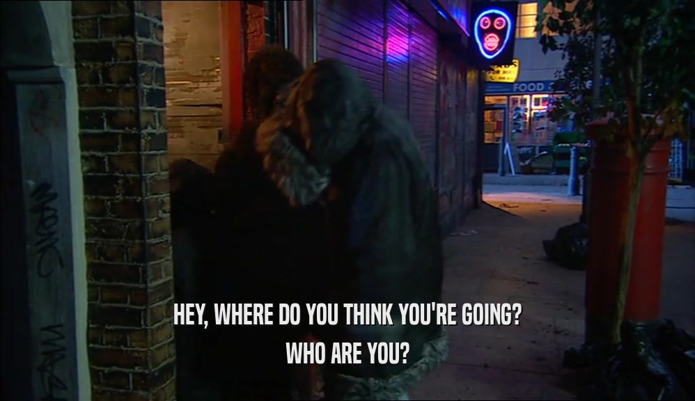 HEY, WHERE DO YOU THINK YOU'RE GOING? WHO ARE YOU? 