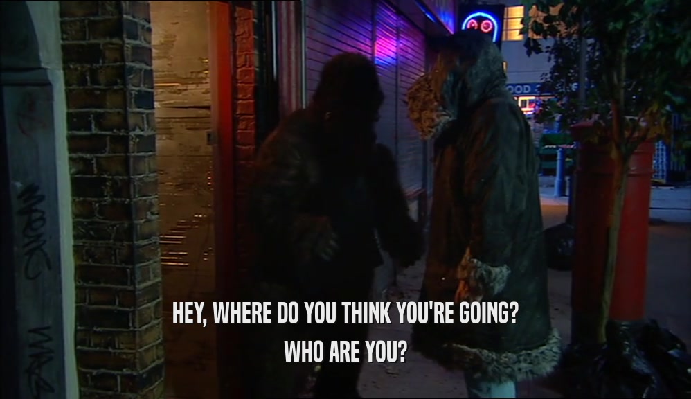 HEY, WHERE DO YOU THINK YOU'RE GOING? WHO ARE YOU? 