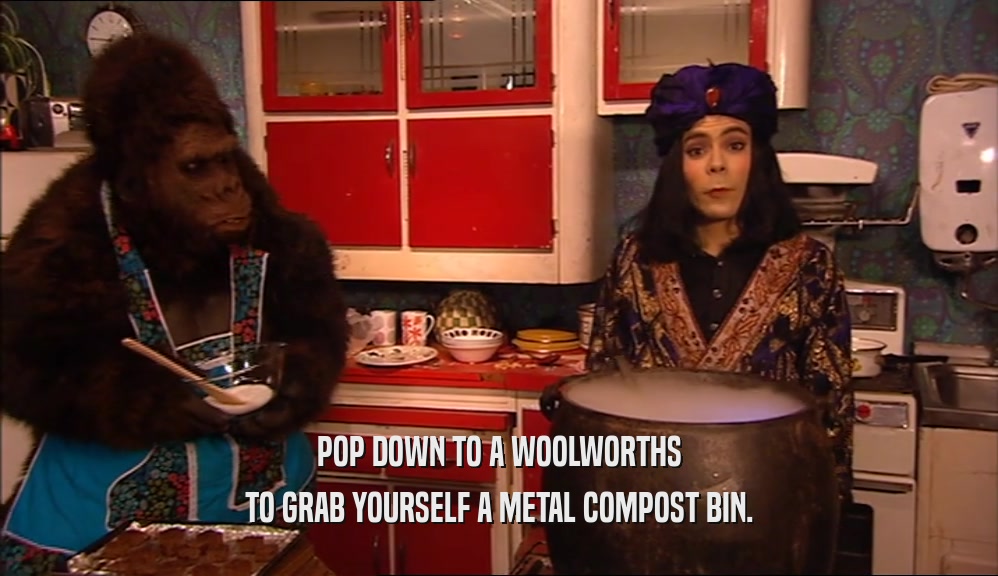 POP DOWN TO A WOOLWORTHS TO GRAB YOURSELF A METAL COMPOST BIN. 