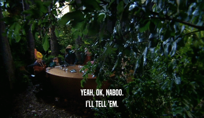 YEAH, OK, NABOO. I'LL TELL 'EM. 