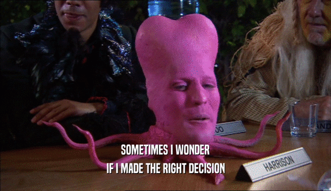 SOMETIMES I WONDER IF I MADE THE RIGHT DECISION 