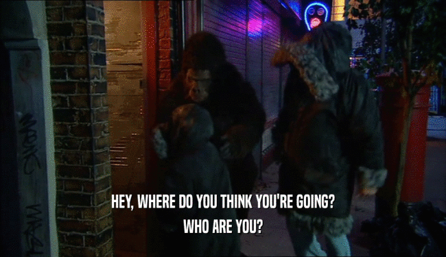 HEY, WHERE DO YOU THINK YOU'RE GOING? WHO ARE YOU? 