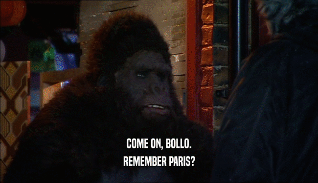 COME ON, BOLLO. REMEMBER PARIS? 