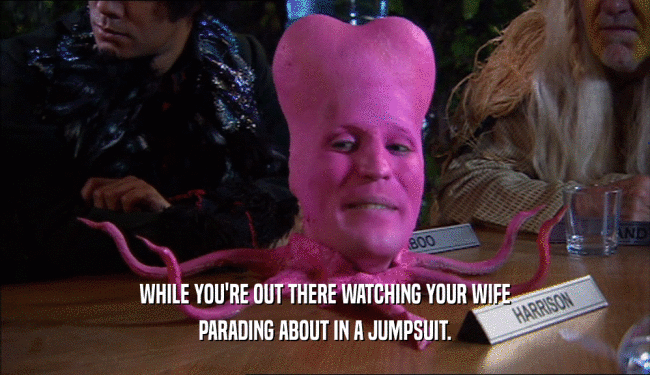 WHILE YOU'RE OUT THERE WATCHING YOUR WIFE PARADING ABOUT IN A JUMPSUIT. 