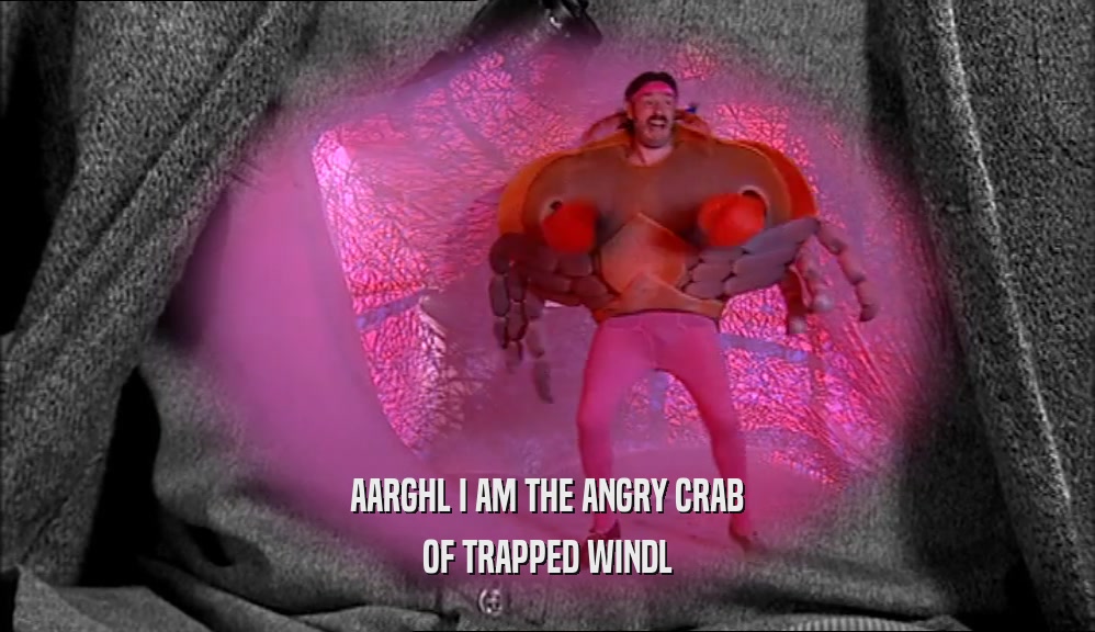 AARGHL I AM THE ANGRY CRAB
 OF TRAPPED WINDL
 