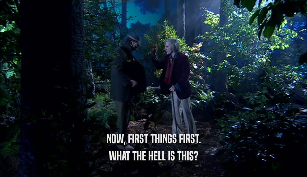 NOW, FIRST THINGS FIRST. WHAT THE HELL IS THIS? 