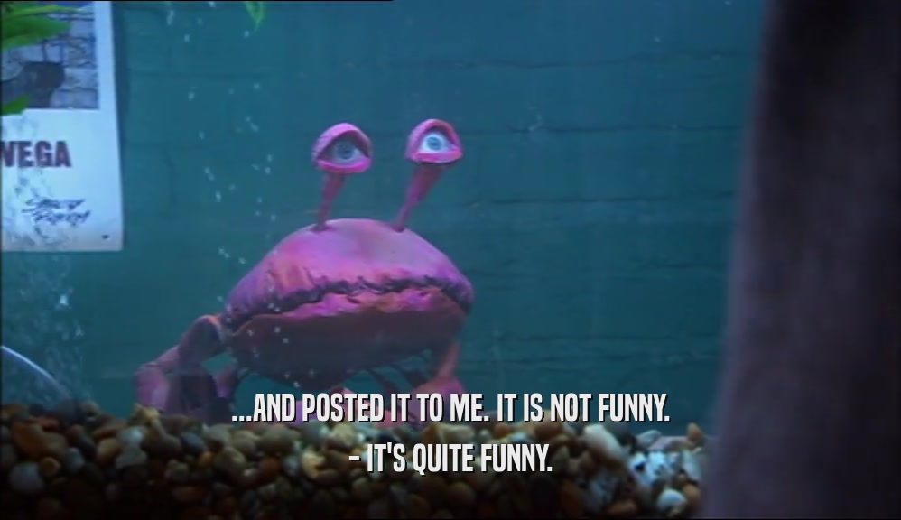 ...AND POSTED IT TO ME. IT IS NOT FUNNY. - IT'S QUITE FUNNY. 