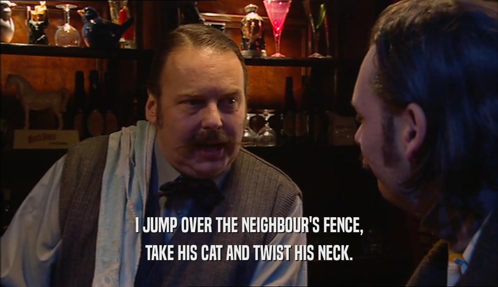 I JUMP OVER THE NEIGHBOUR'S FENCE, TAKE HIS CAT AND TWIST HIS NECK. 