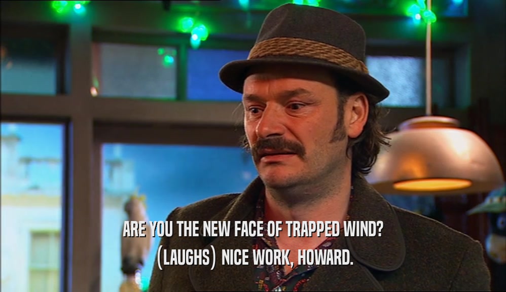 ARE YOU THE NEW FACE OF TRAPPED WIND? (LAUGHS) NICE WORK, HOWARD. 