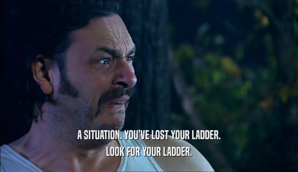 A SITUATION. YOU'VE LOST YOUR LADDER. LOOK FOR YOUR LADDER. 