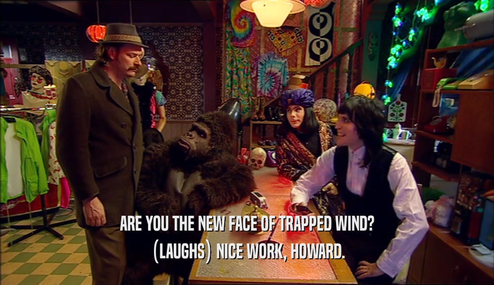 ARE YOU THE NEW FACE OF TRAPPED WIND? (LAUGHS) NICE WORK, HOWARD. 
