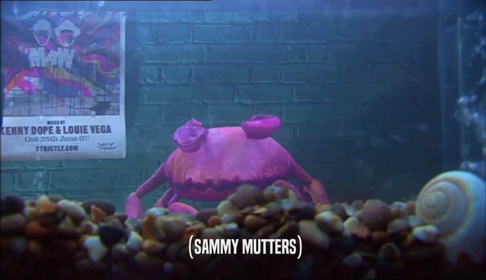(SAMMY MUTTERS)  