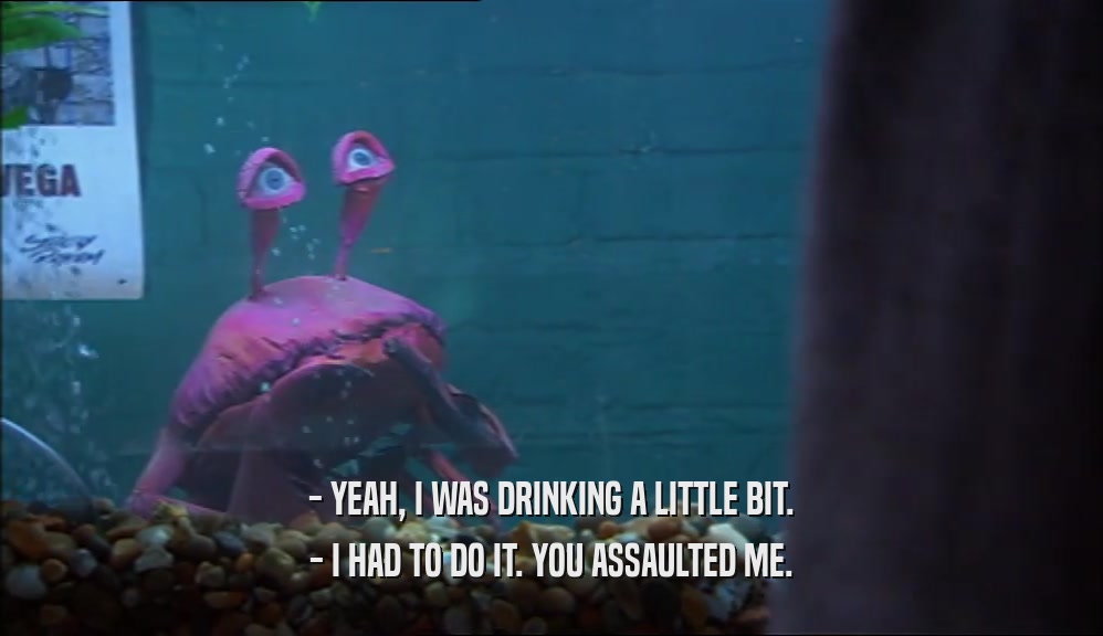- YEAH, I WAS DRINKING A LITTLE BIT. - I HAD TO DO IT. YOU ASSAULTED ME. 