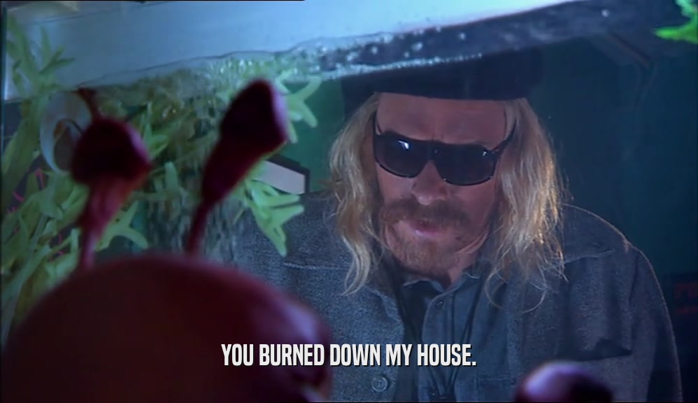 YOU BURNED DOWN MY HOUSE.  