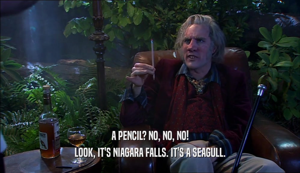 A PENCIL? NO, NO, NO! LOOK, IT'S NIAGARA FALLS. IT'S A SEAGULL. 