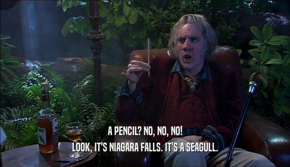 A PENCIL? NO, NO, NO! LOOK, IT'S NIAGARA FALLS. IT'S A SEAGULL. 