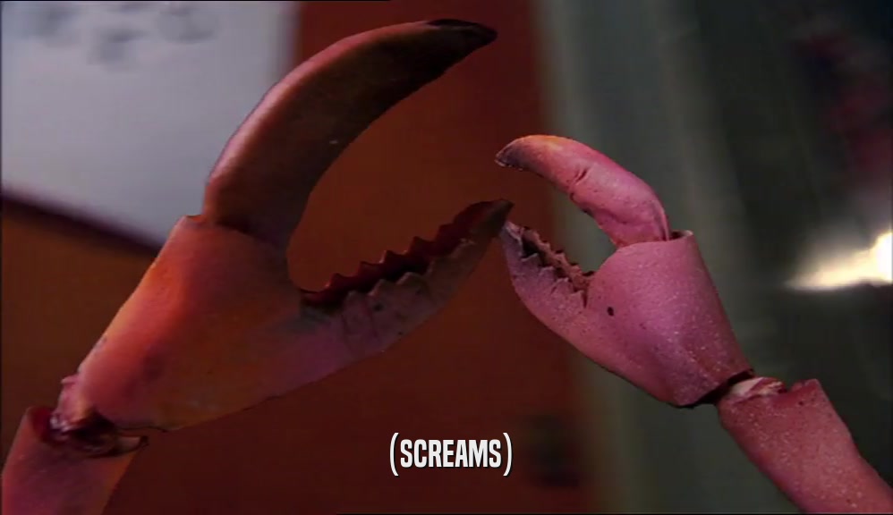 (SCREAMS)  