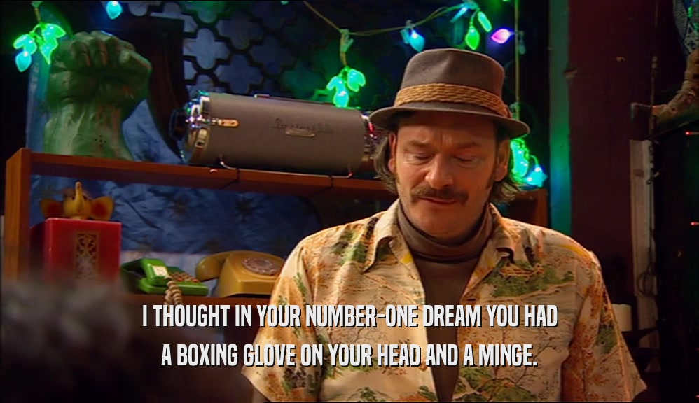 I THOUGHT IN YOUR NUMBER-ONE DREAM YOU HAD A BOXING GLOVE ON YOUR HEAD AND A MINGE. 
