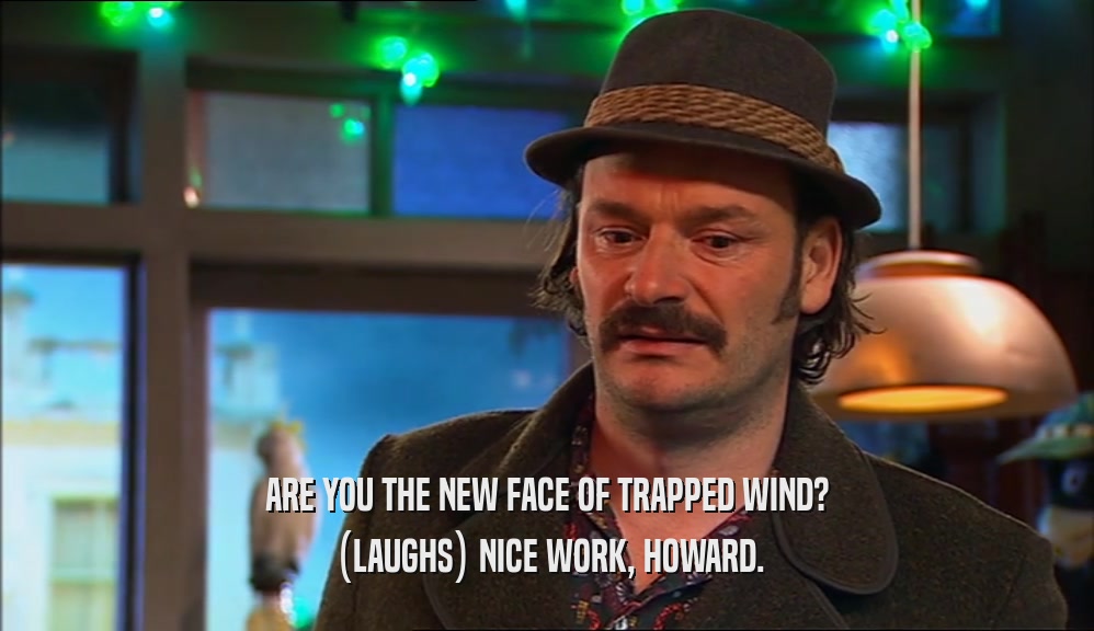 ARE YOU THE NEW FACE OF TRAPPED WIND? (LAUGHS) NICE WORK, HOWARD. 