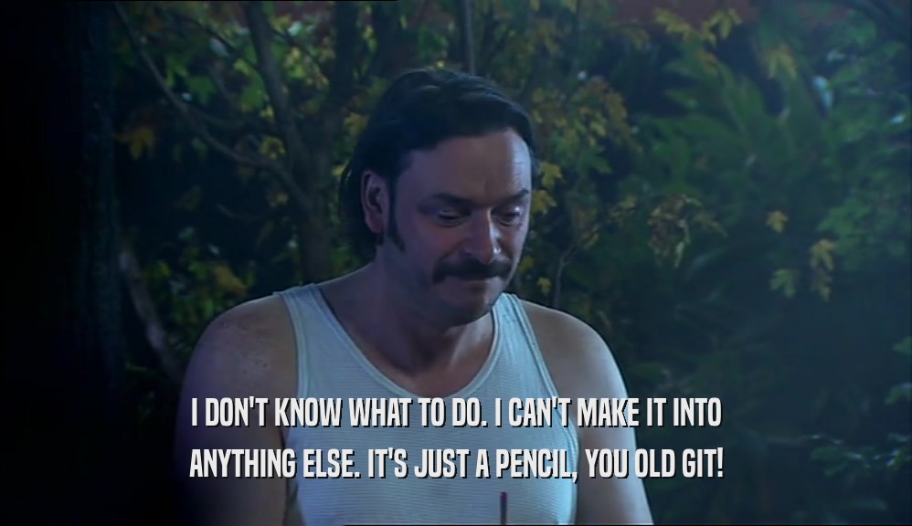 I DON'T KNOW WHAT TO DO. I CAN'T MAKE IT INTO ANYTHING ELSE. IT'S JUST A PENCIL, YOU OLD GIT! 