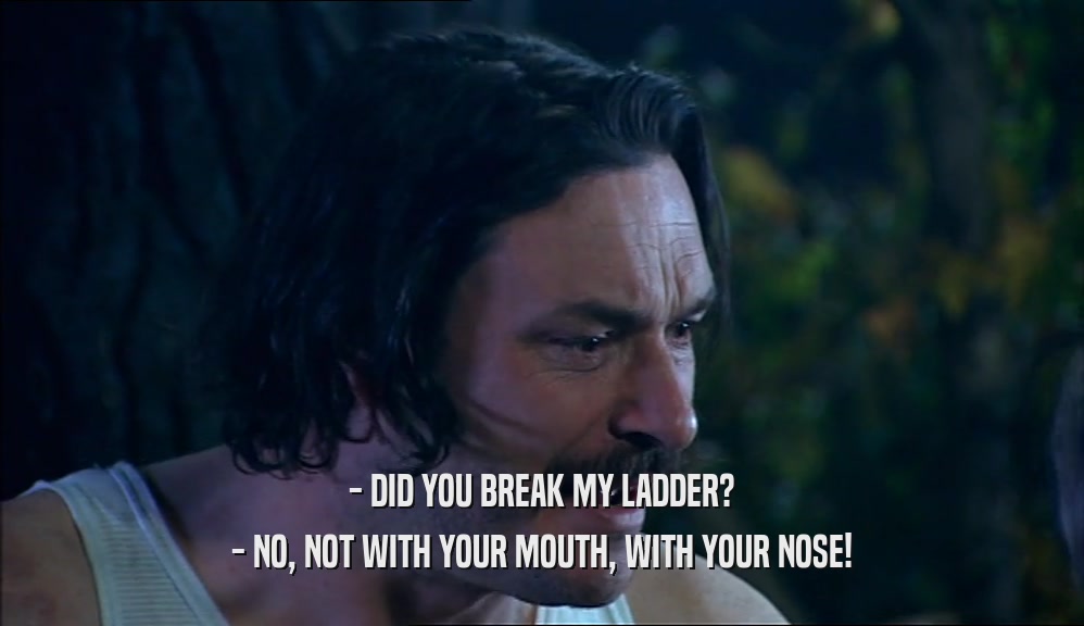 - DID YOU BREAK MY LADDER? - NO, NOT WITH YOUR MOUTH, WITH YOUR NOSE! 