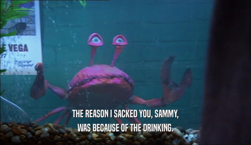 THE REASON I SACKED YOU, SAMMY, WAS BECAUSE OF THE DRINKING. 