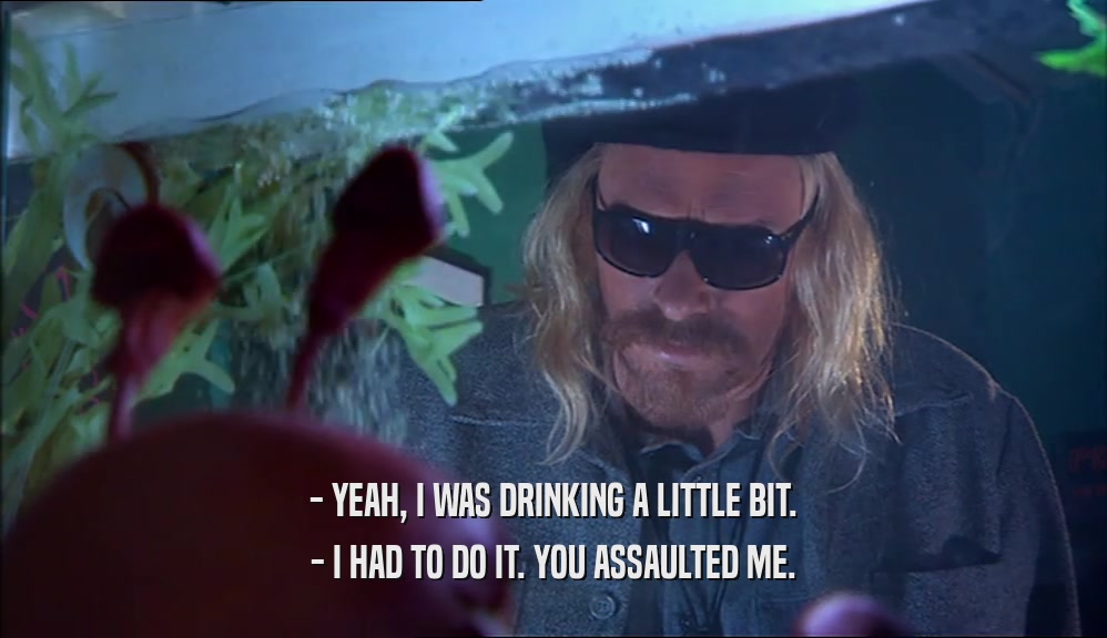 - YEAH, I WAS DRINKING A LITTLE BIT. - I HAD TO DO IT. YOU ASSAULTED ME. 