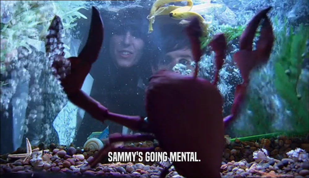 SAMMY'S GOING MENTAL.  