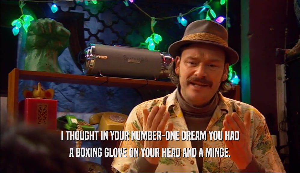 I THOUGHT IN YOUR NUMBER-ONE DREAM YOU HAD A BOXING GLOVE ON YOUR HEAD AND A MINGE. 
