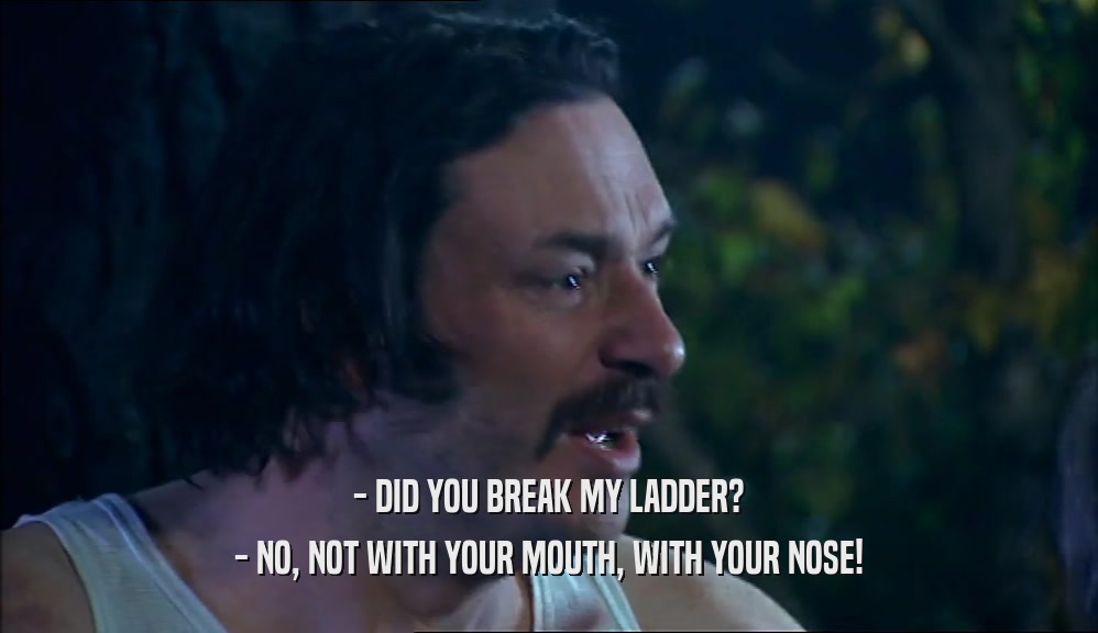 - DID YOU BREAK MY LADDER? - NO, NOT WITH YOUR MOUTH, WITH YOUR NOSE! 