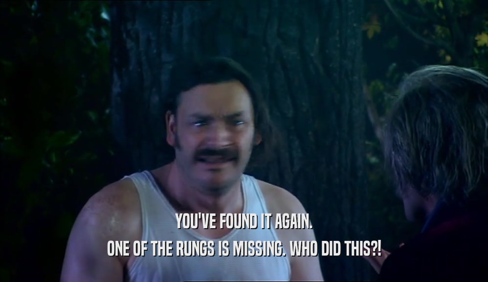 YOU'VE FOUND IT AGAIN. ONE OF THE RUNGS IS MISSING. WHO DID THIS?! 