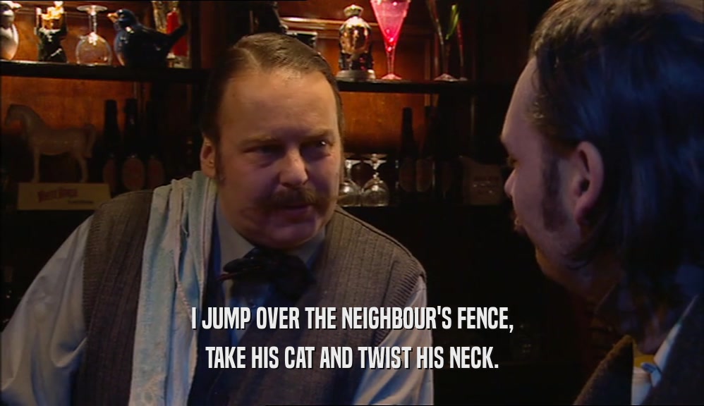 I JUMP OVER THE NEIGHBOUR'S FENCE, TAKE HIS CAT AND TWIST HIS NECK. 