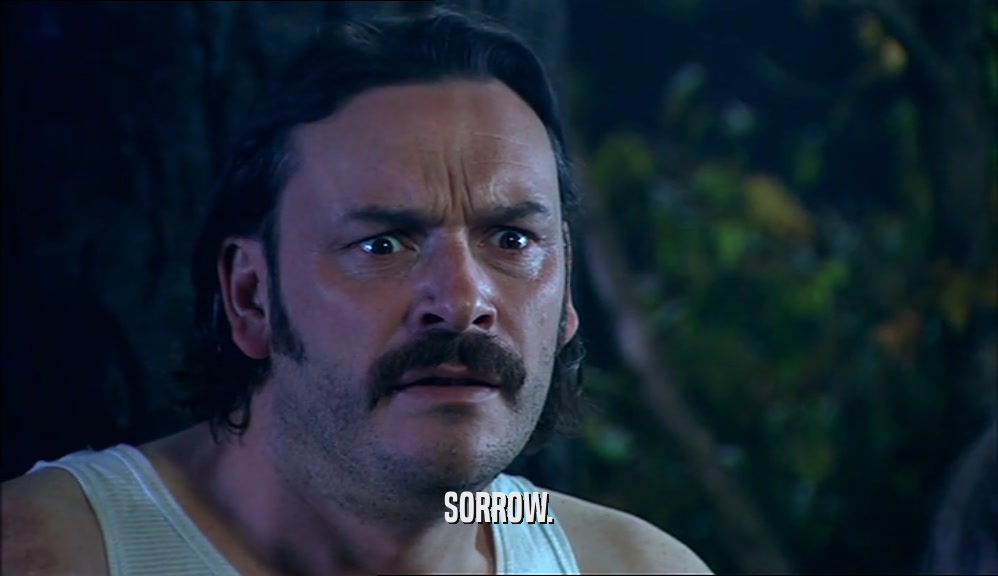 SORROW.  