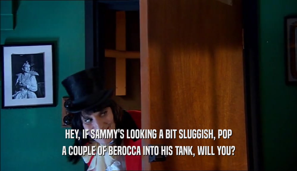 HEY, IF SAMMY'S LOOKING A BIT SLUGGISH, POP
 A COUPLE OF BEROCCA INTO HIS TANK, WILL YOU?
 