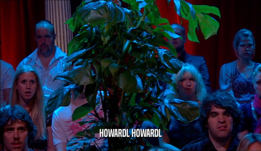 HOWARDL HOWARDL  