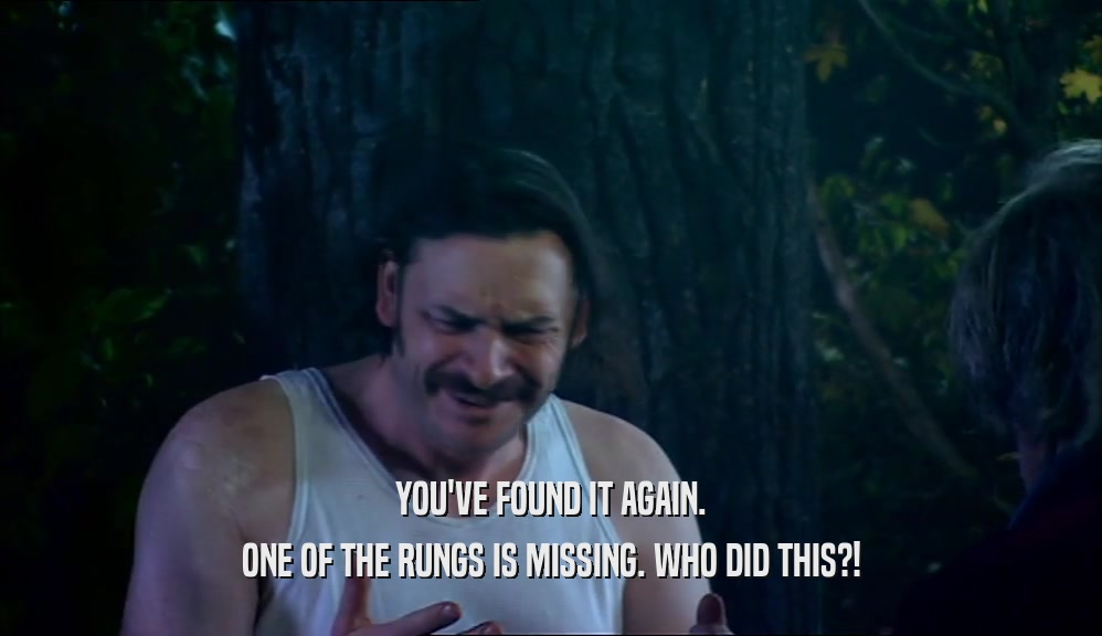 YOU'VE FOUND IT AGAIN. ONE OF THE RUNGS IS MISSING. WHO DID THIS?! 