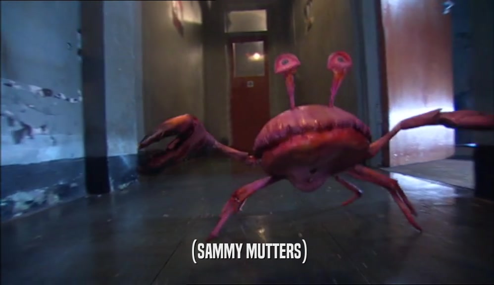 (SAMMY MUTTERS)  