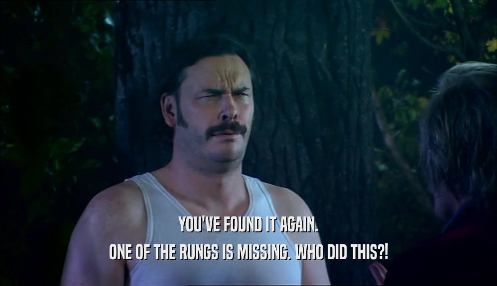 YOU'VE FOUND IT AGAIN. ONE OF THE RUNGS IS MISSING. WHO DID THIS?! 