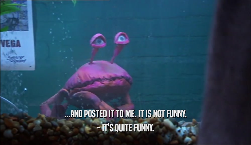 ...AND POSTED IT TO ME. IT IS NOT FUNNY. - IT'S QUITE FUNNY. 