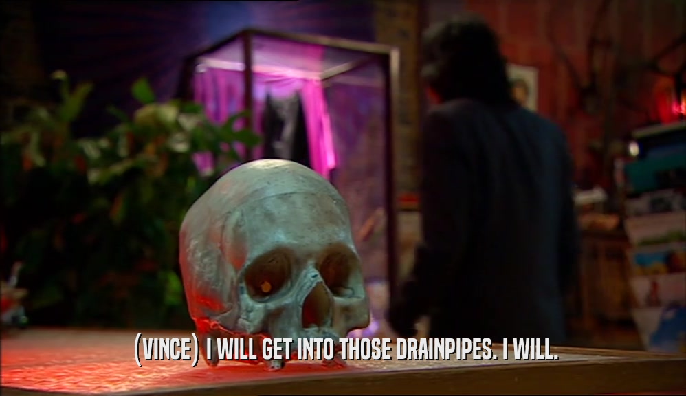 (VINCE) I WILL GET INTO THOSE DRAINPIPES. I WILL.  