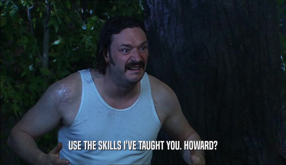 USE THE SKILLS I'VE TAUGHT YOU. HOWARD?  
